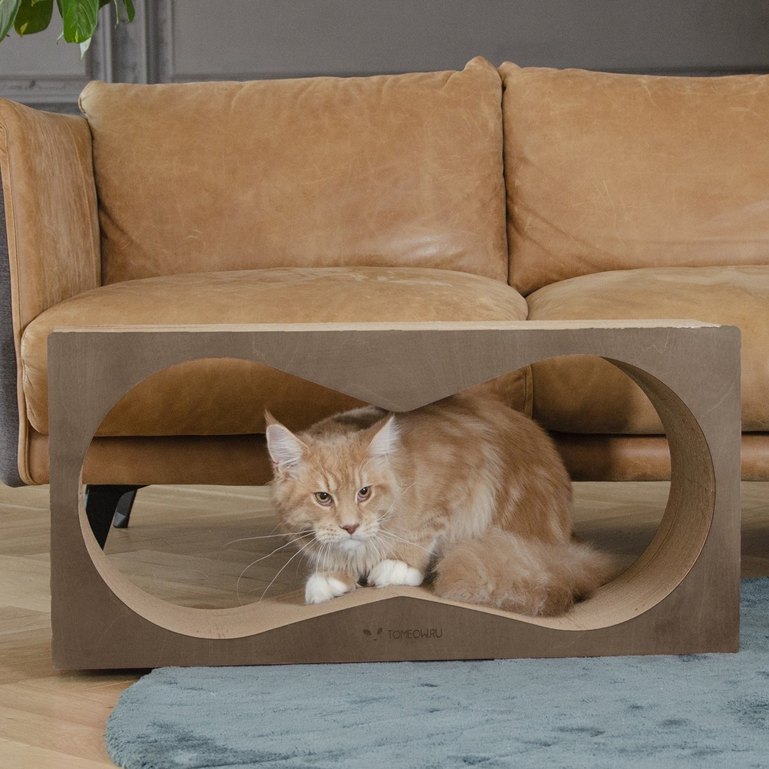 картинка Когтеточка Тумяу PREMIUM Аквариум (мокко) 77х37х22 см.