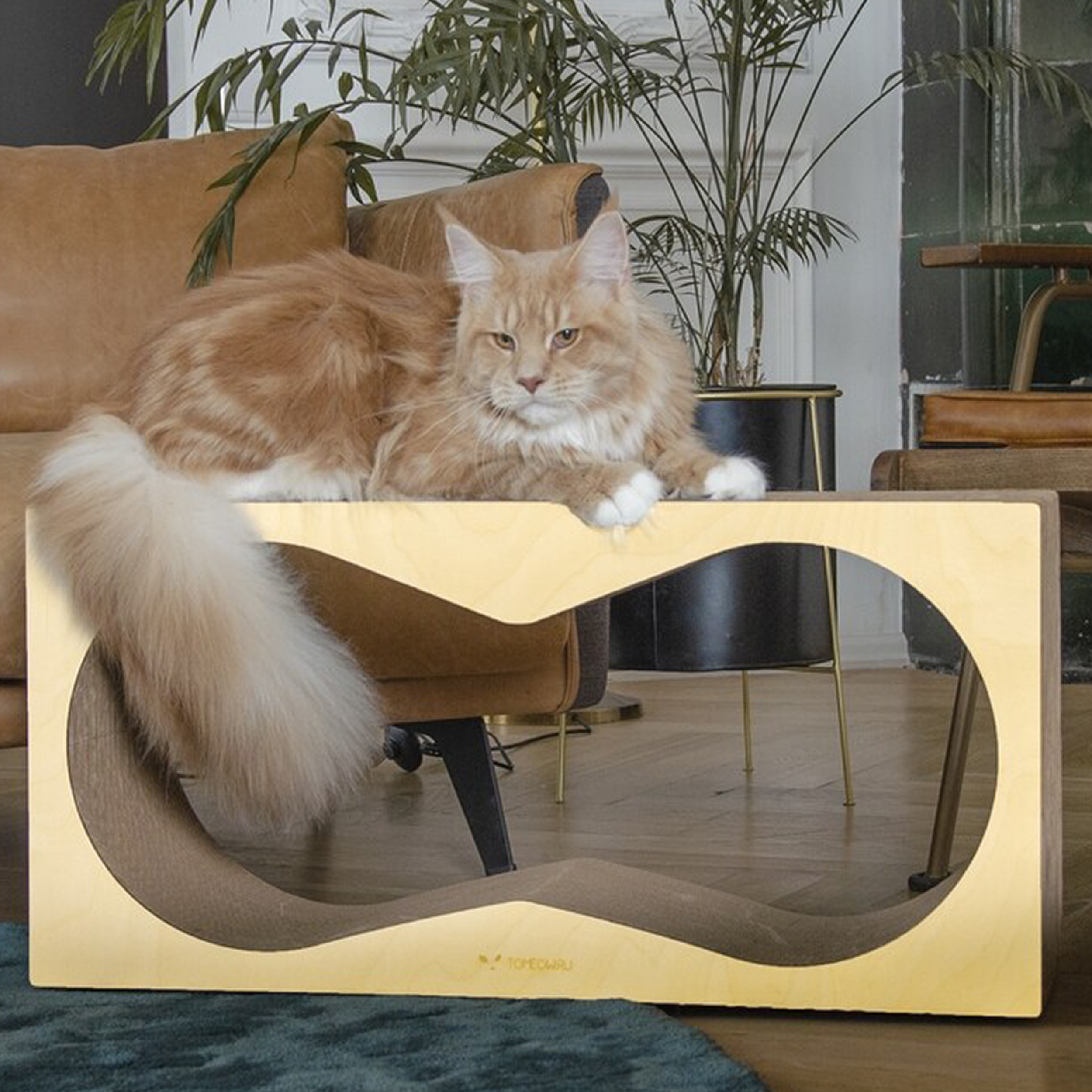 картинка Когтеточка Тумяу PREMIUM Аквариум (лиственница) 77х37х22 см.